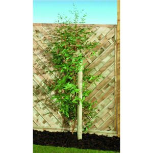 Wickes Timber Garden Tree Stake – 40mm x 1.8m
