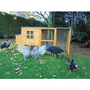 Shire Timber Pent Chicken Coop & Run Honey Brown – 7 x 3 ft