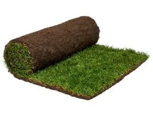 Rolawn Medallion Grass Turf - 1m² rolls x 50