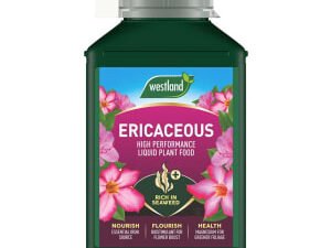 Westland Ericaceous Specialist Liquid Plant Feed - 1L