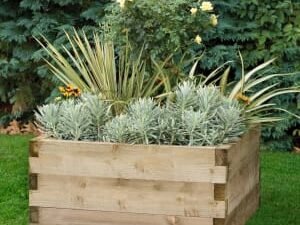 Forest Garden Caledonian Square Raised Bed - 420 x 900 x 900mm