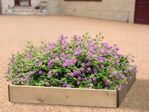 Greena Square Raised Bed - 150 x 900 x 900mm