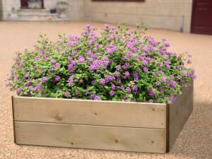 Greena Square Raised Bed - 300 x 900 x 900mm