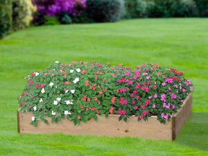 Greena Rectangular Raised Bed - 150 x 600 x 900mm