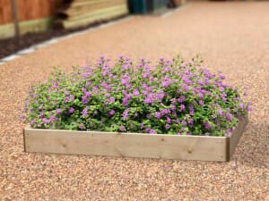 Greena Rectangular Raised Bed - 150 x 900 x 1200mm