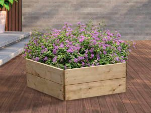 Greena Pentagonal Raised Bed - 300 x 970 x 970mm