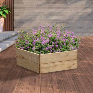 Greena Pentagonal Raised Bed - 300 x 970 x 970mm - Buoogle