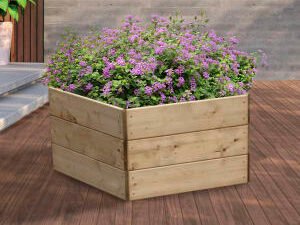 Greena Pentagonal Raised Bed - 450 x 970 x 970mm