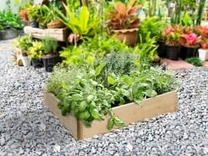 Greena Triangular Raised Bed - 150 x 900 x 900mm