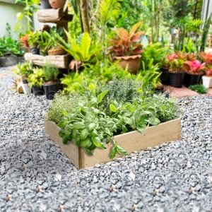 Greena Triangular Raised Bed – 150 x 900 x 900mm