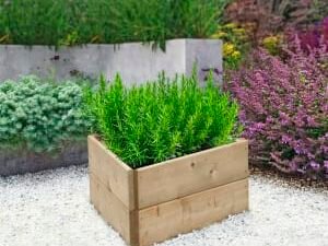 Greena Triangular Raised Bed - 300 x 600 x 600mm