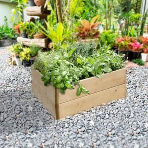 Greena Triangular Raised Bed – 300 x 900 x 900mm