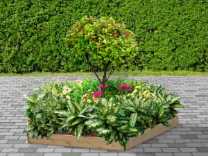 Greena Hexagonal Raised Bed - 150 x 2400 x 2400mm