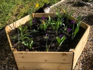 Greena Hexagonal Raised Bed - 300 x 1200 x 1200mm