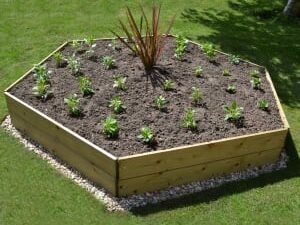 Greena Hexagonal Raised Bed - 300 x 2400 x 2400mm