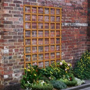 Forest Garden Heavy Duty Trellis – 1830 x 1220mm – Pack of 5