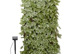 Smart Garden Ivy Leaf 50 LED Solar Trellis - 180 x 60cm