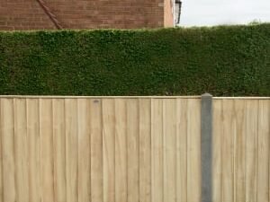 Forest Garden Pressure Treated Closedboard Fence Panel - 1830 x 930mm - 6 x 3ft - Pack of 3