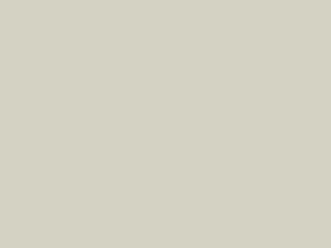 Mermaid Elite Ecru Tongue & Groove 10mm Single Shower Panel - 2420 x 1200mm