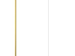 Nexa By Merlyn 8mm Brushed Brass Frameless Wet Room Shower Screen with 1m Bracing Bar - 2015 x 700mm