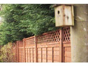Forest Garden Fence Top Trellis Diamond Lattice - 1830 x 300mm