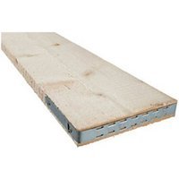 End Banded Timber Scaffold Boards BS2482 38mm x 225mm x 3.9m