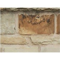Natural Paving Golden Fossil Cottagestone Walling Project Pack