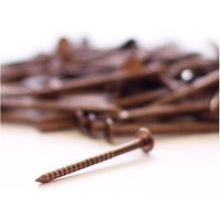 John Brash Silicon Bronze Nails 31mm
