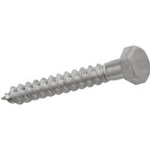 Coach Screws M10 x 100mm