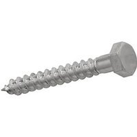 Coach Screws M10 x 100mm