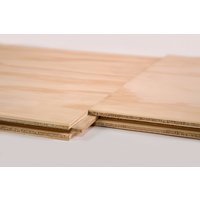 22mm x 2425mm x 600mm Structural Softwood Plywood TG4
