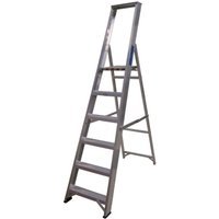 Lyte EN131-2 Professional Platform Step 6 Tread Ladder