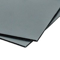Proguard Correx Protection Board 2.4m x 1.2m x 4mm