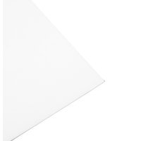 Proguard Correx Protection Board Translucent 2.4m x 1.2m x 3mm