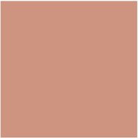 Dulux Trade Vinyl Matt 5L Copper Blush