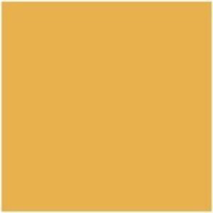 Dulux Trade Vinyl Matt 5L Honey Mustard