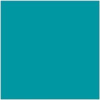 Dulux Trade Vinyl Matt 5L Teal Touch
