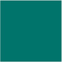 Dulux Trade Vinyl Matt 5L Fortune Green