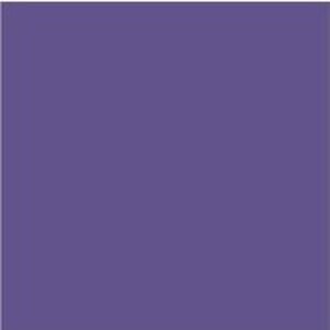 Dulux Trade Vinyl Matt 5L Purple Pout