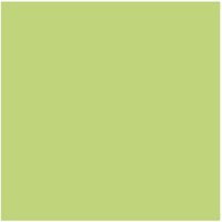 Dulux Trade Vinyl Matt 5L Kiwi Crush