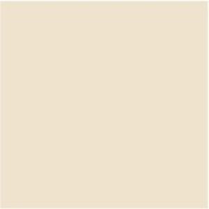 Dulux Trade Vinyl Matt 5L Barley White