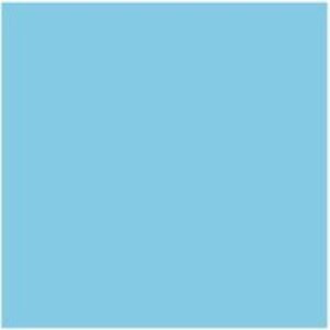Dulux Trade Vinyl Matt 5L Delft China