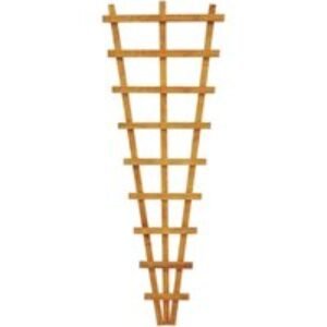 Forest Garden Heavy Duty Fan Trellis Pack of 6 6 x 2 ft