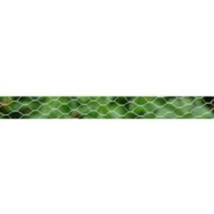 Apollo Galvanised Wire Netting 900mm x 50m x 50mm