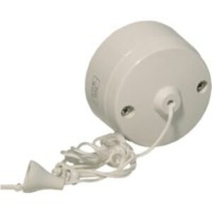 4Trade Ceiling Switch 6 Amp 2 Way