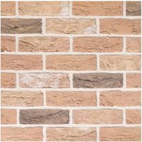 Traditional Brick & Stone Facing Brick Grantchester Blend – Pack of 730