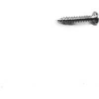 Ecoscape Wood Screws for Cladding Clips Pack 250