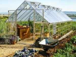 10' x 24' Palram Canopia Balance Silver Large Greenhouse (3.04m x 7.24m)