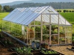10' x 28' Palram Canopia Balance Silver Large Greenhouse (3.04m x 8.44m)