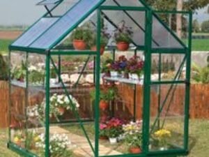6'x4' Palram Canopia Hybrid Small Green Polycarbonate Greenhouse (1.8x1.2m)